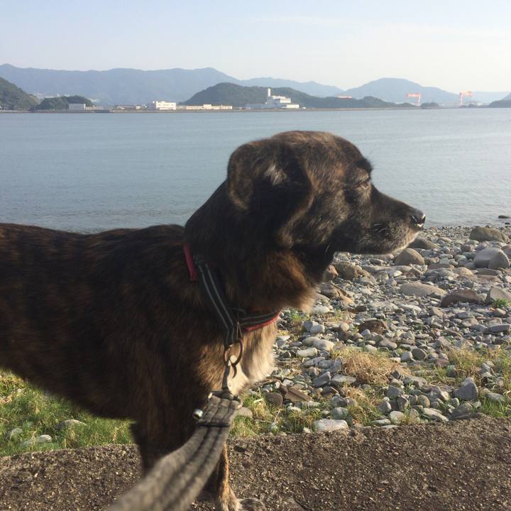 81bd4749 0809 4483 b889 85d39a004c82