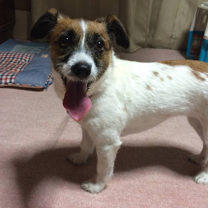 81bd979d c5f0 427c b4b7 32402996afb1