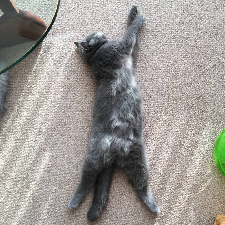 81bdec85 b48e 49d9 9298 138aca7fa398