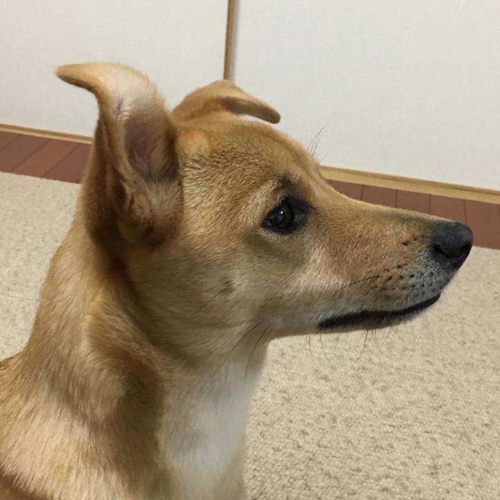 81be026c 2a9c 4eff 9e21 4ef9e6e3ace9