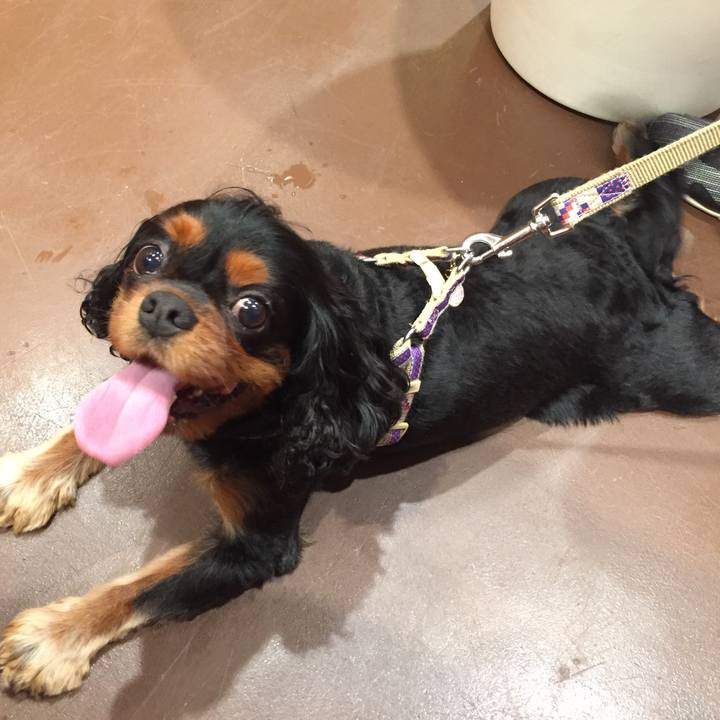 81be0a28 8b2b 4be7 9da1 8dfd0b9587b7