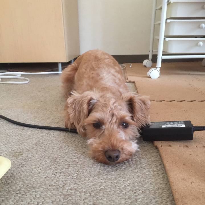 81be611e d8a3 476a 8ae0 d11195175214