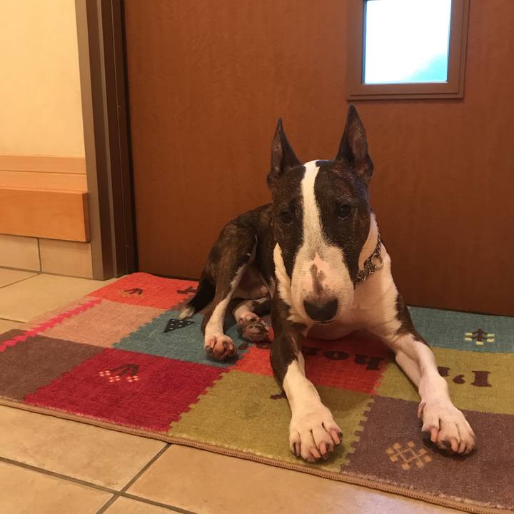 81be7c45 6723 4d78 aeb1 f32c13b1f2cb