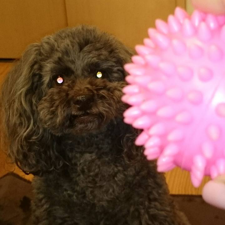 81bf0cdd 001f 420b b2f9 c2d5af42d244