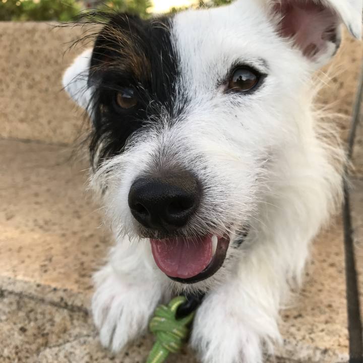 81bf6449 b4f5 4410 93a3 a49bc2ce4f4d