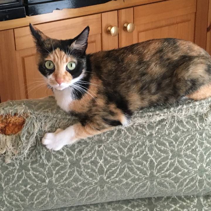 81bf850e 54e4 421c 8ba9 03328aa9c418