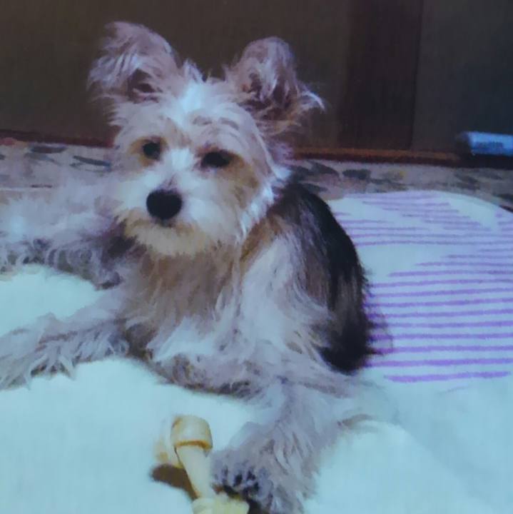 81bf9ff9 84f2 44a9 9ca5 a5d1b5325f25