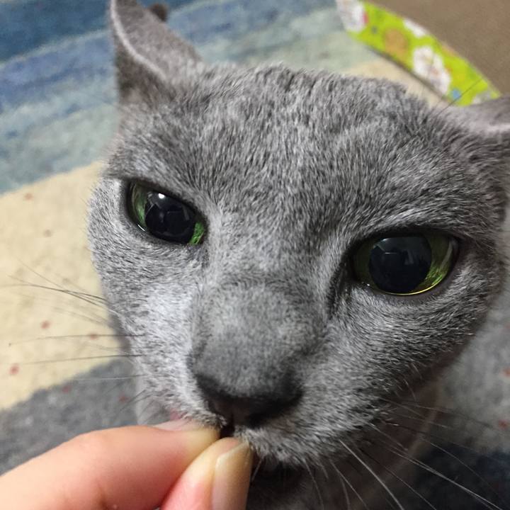 81bfc548 6fba 46aa 8db7 5b4477f96b93