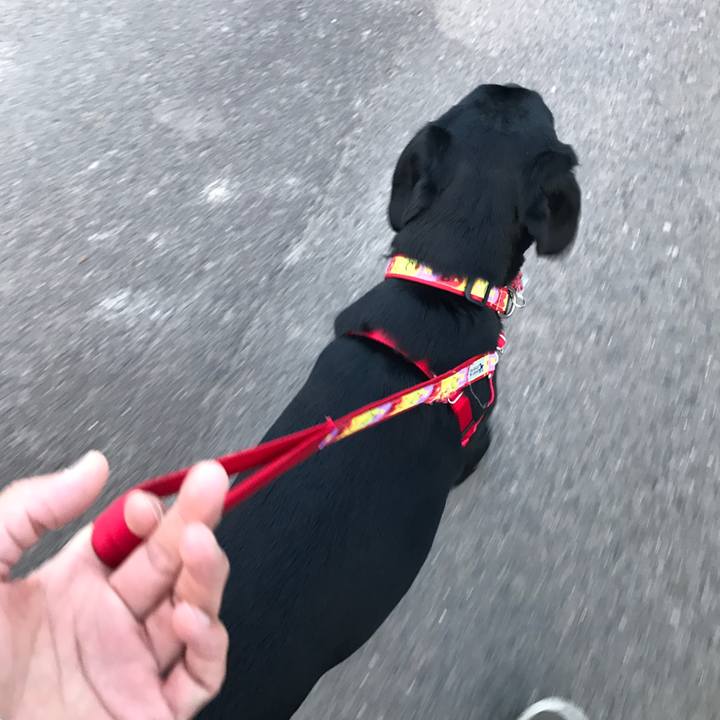 81c0d8d5 b4f9 49f3 8732 f93c5630c84a