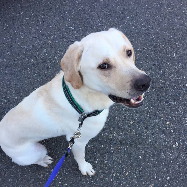 81c190cf 02e6 4e3c 8b73 c16abbfcb256