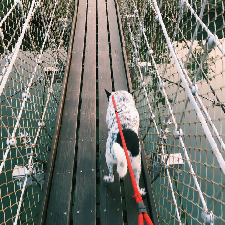 81c1fa30 b790 4d14 8758 7b5176dc2fe1