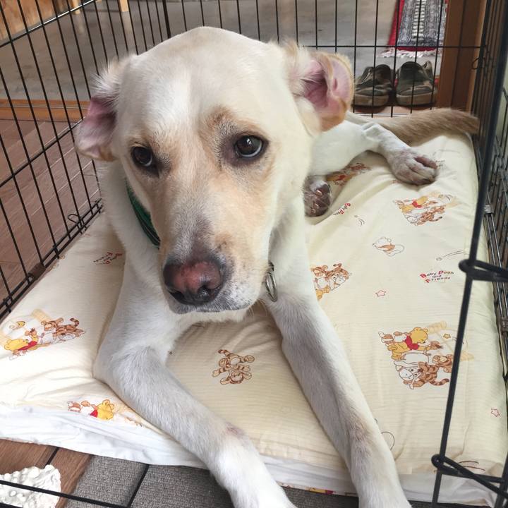 81c2b0a6 6a1f 4cad b2c6 fb55d4e77bf9