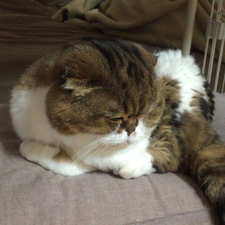 81c34ee0 59e9 43ff bfed 9c62e200b0e0