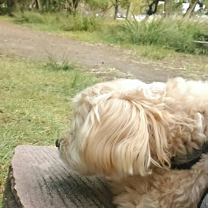 81c3c2b6 060c 45d1 88aa f1f28604efd7