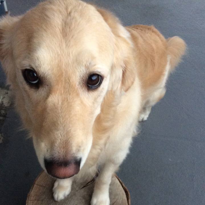 81c4e40d 6e1e 4c6f 946f 70ea57aa4465