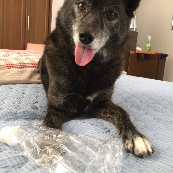 81c4fe52 7bde 40dd ae96 db73ec3f3157