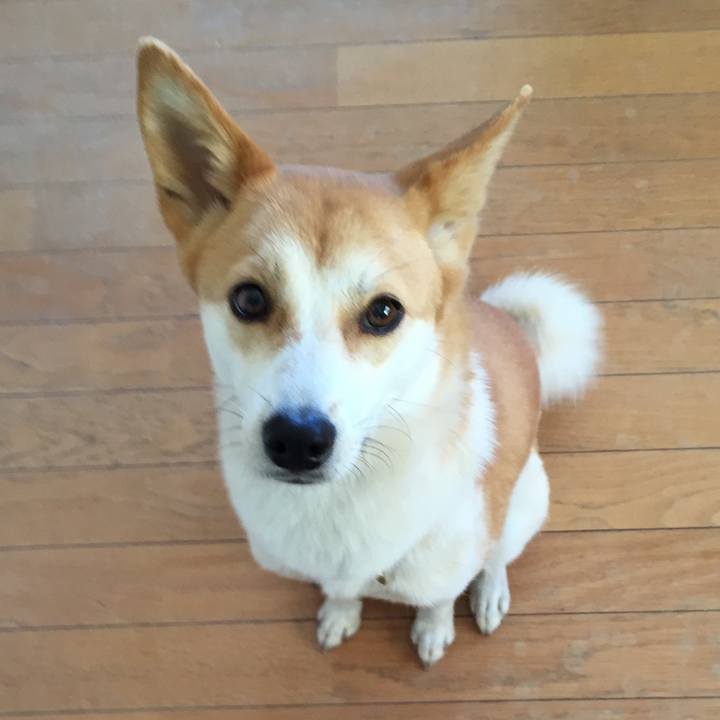 81c51353 12bd 4f83 a784 f20584e0a3cf