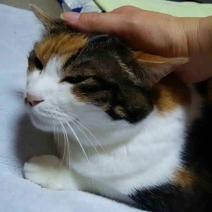 81c57b9e 6304 43c0 a0a1 f8b13f5b6801