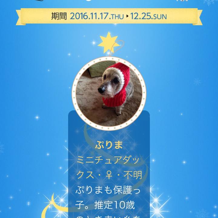 81c5ef2e 8f69 44f7 b841 0c5ce75785ae