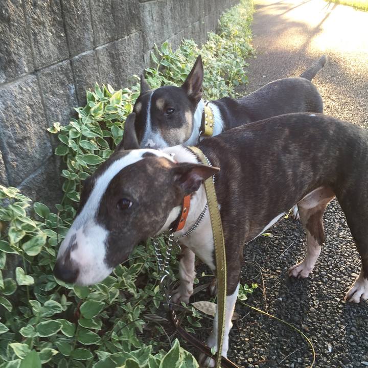 81c68d25 4c35 4187 b012 dc406551128e