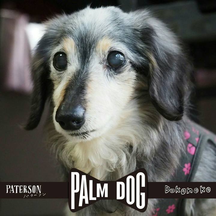 81c69224 9b4a 4b9c 8c42 cb9ac94082b4