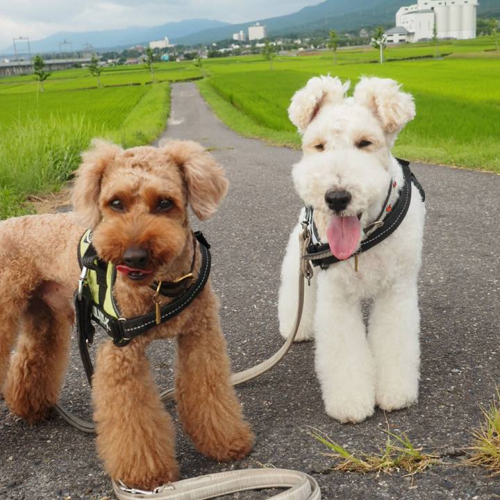 81c70454 c7eb 4a72 bcac 04e29a7e3bd8