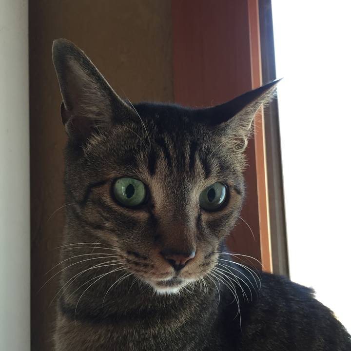 81c87cef 636c 4ad7 93bd fd01402b7827