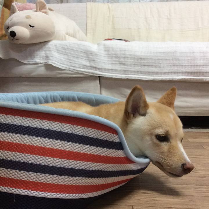 81c8d6c6 43c5 4ea6 95f2 a417f486f1c9