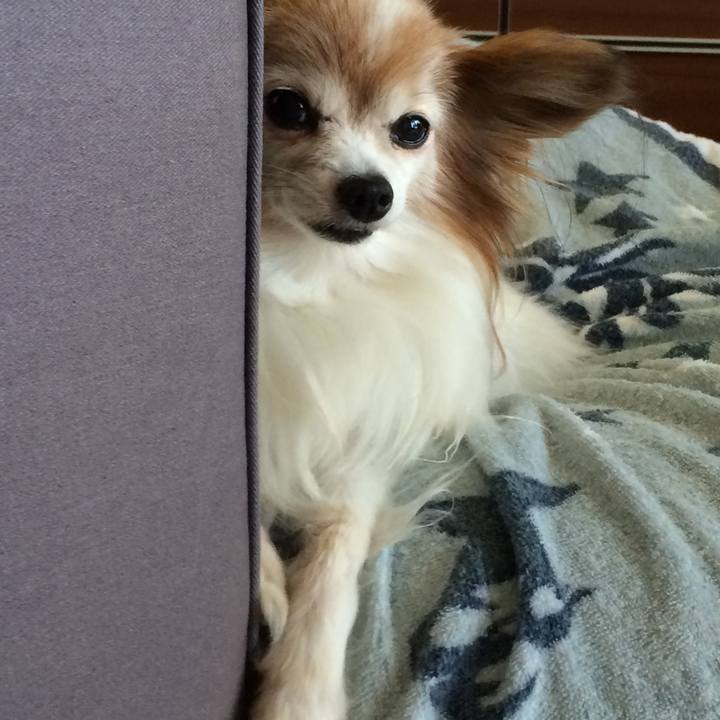 81c9b2a3 bc30 4f76 8e5a e31f373c4ed0