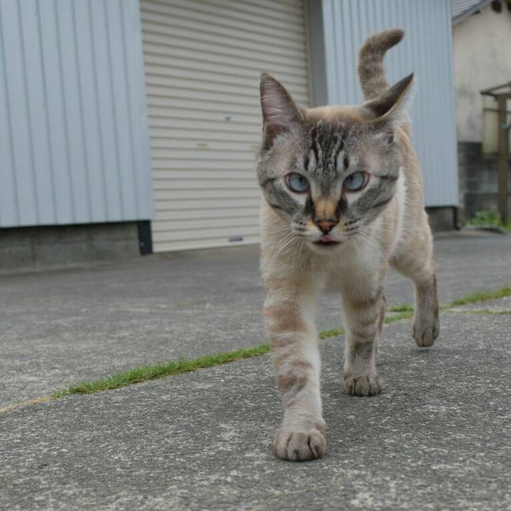 81c9f736 1e2c 4818 8fad 6a28e77026ec