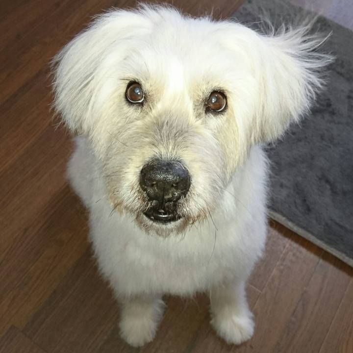 81ca2a70 3cdd 46d6 b4c5 edd4225309cb