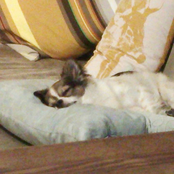 81ca70ee b37c 479b bb3d cdcb957b9d98