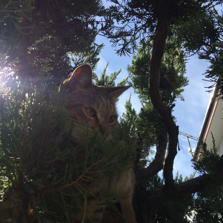 81cad1af 2248 41a1 a36a 9f70046dc9a8