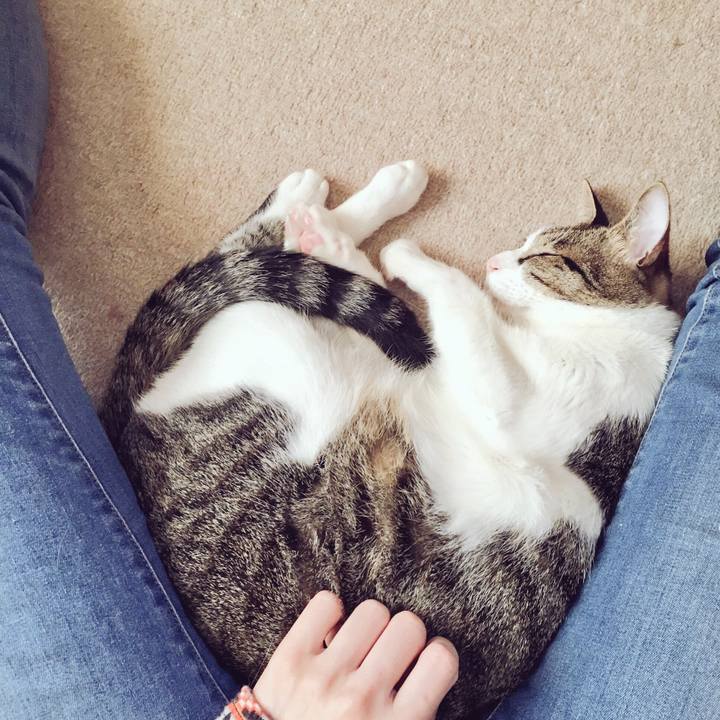 81cafe6e 3407 4c85 a5e8 0361143dc85f