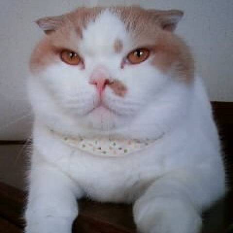 81cb04a0 5fb9 4a68 96cd 91011fe5c529