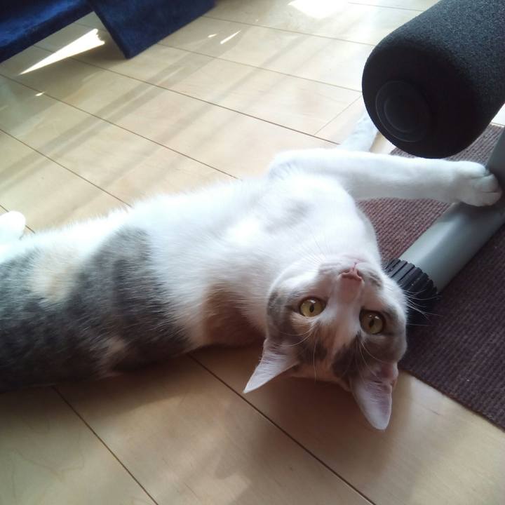 81cba943 bd93 40b5 8a3b c3672d6f74a0