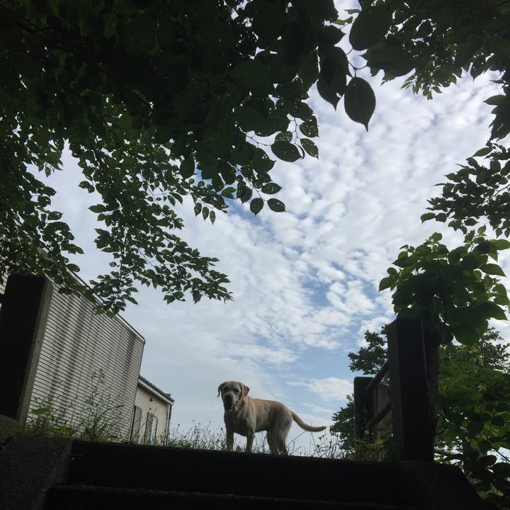 81cbc9ff b795 4dee b5e2 d871c1fd2e41