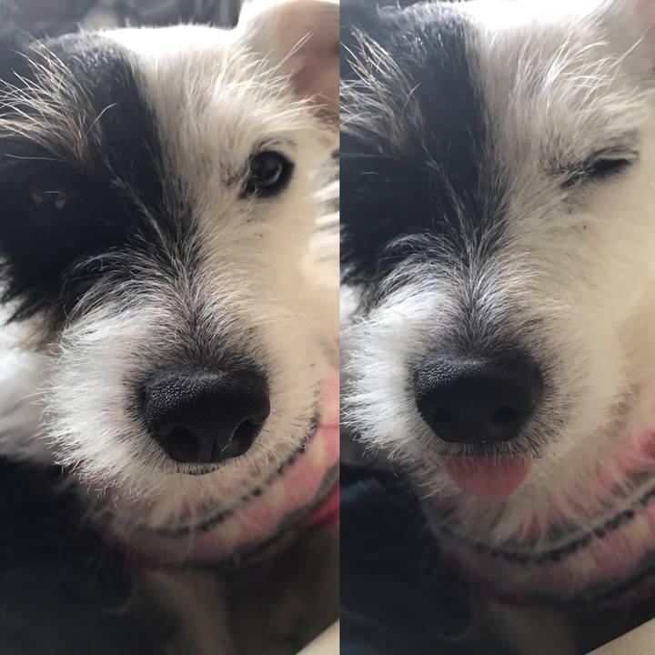 81cc51fe 5822 498f ad83 9dbf5cc3c346