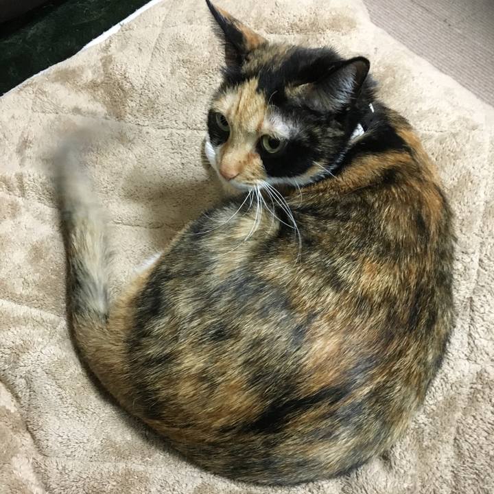 81ccff65 0d2e 45be 83ce 88fd1701320d