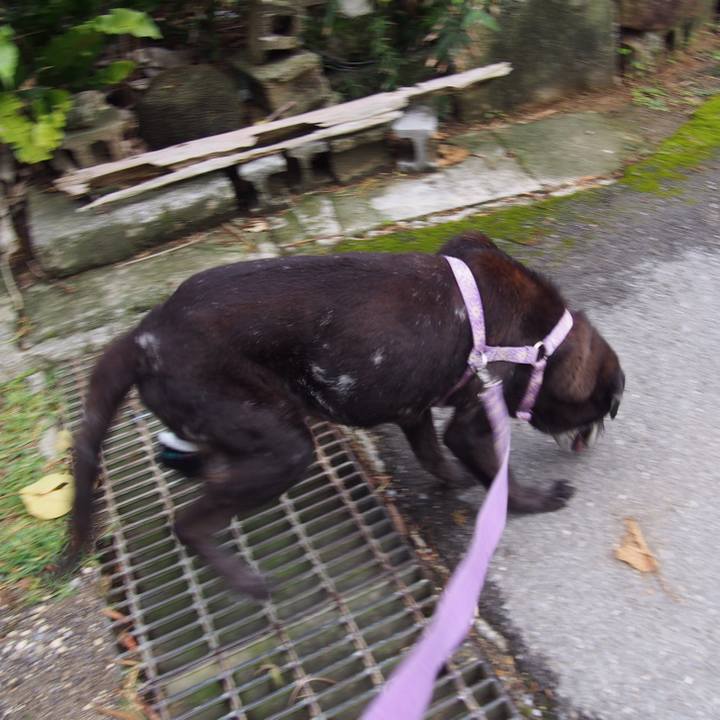 81cd010a c46f 42a2 aeb5 f34a18ccfae6