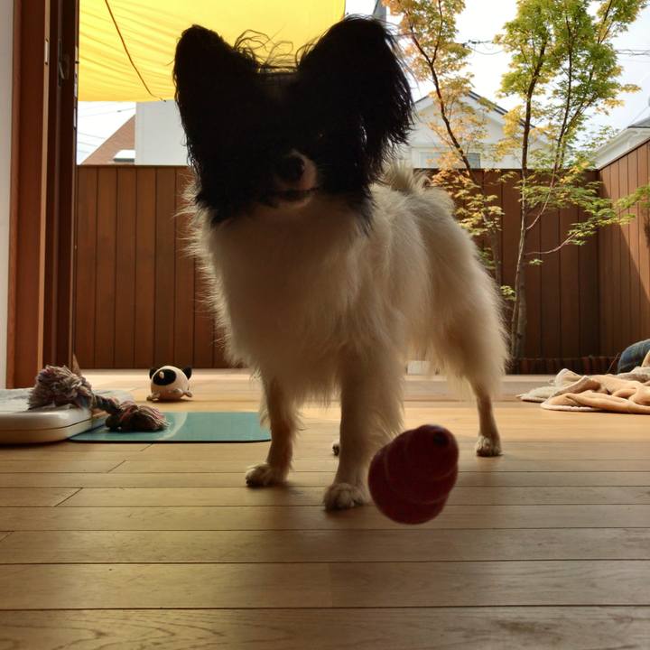 81cd34d6 f761 4e0e 8eea c299b31f222a