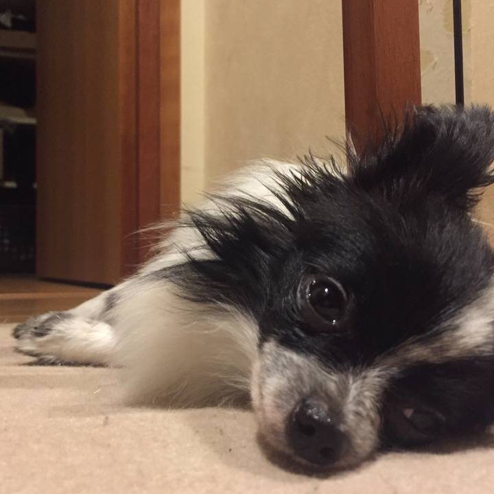 81ce0269 4bb3 4782 ad86 a11939f7b37c