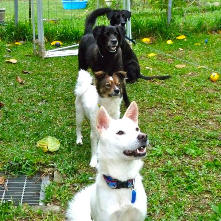 81cedca3 9bb4 41a0 9ac0 28cc38228d66