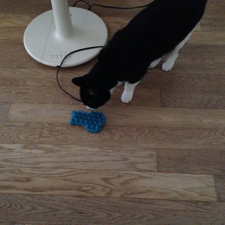 81cf18ac 5909 4089 a078 35f612055415