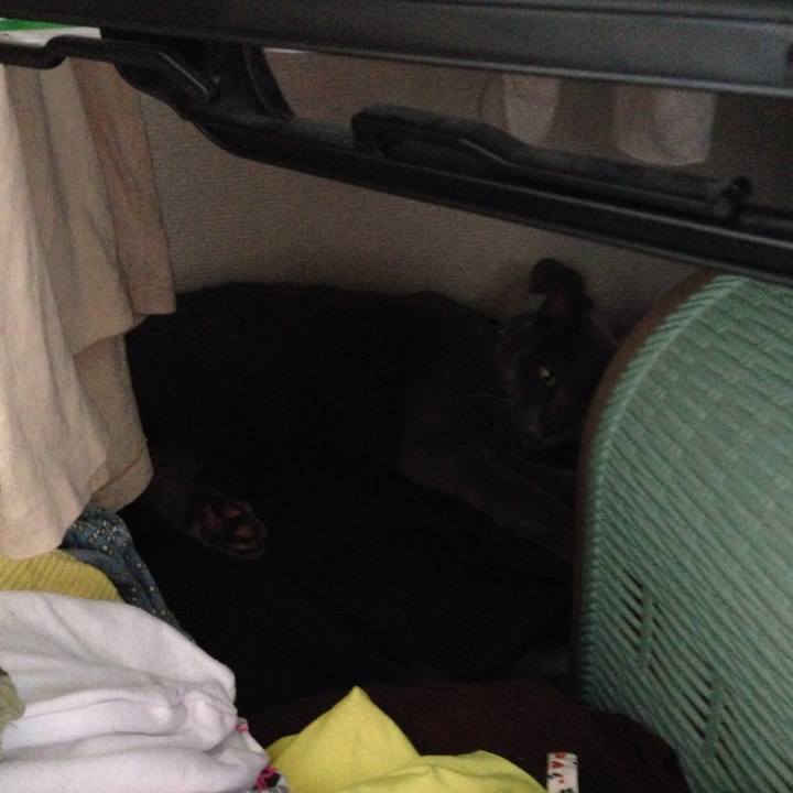 81d007e4 8967 475c 8f77 8f0a43cc83b3