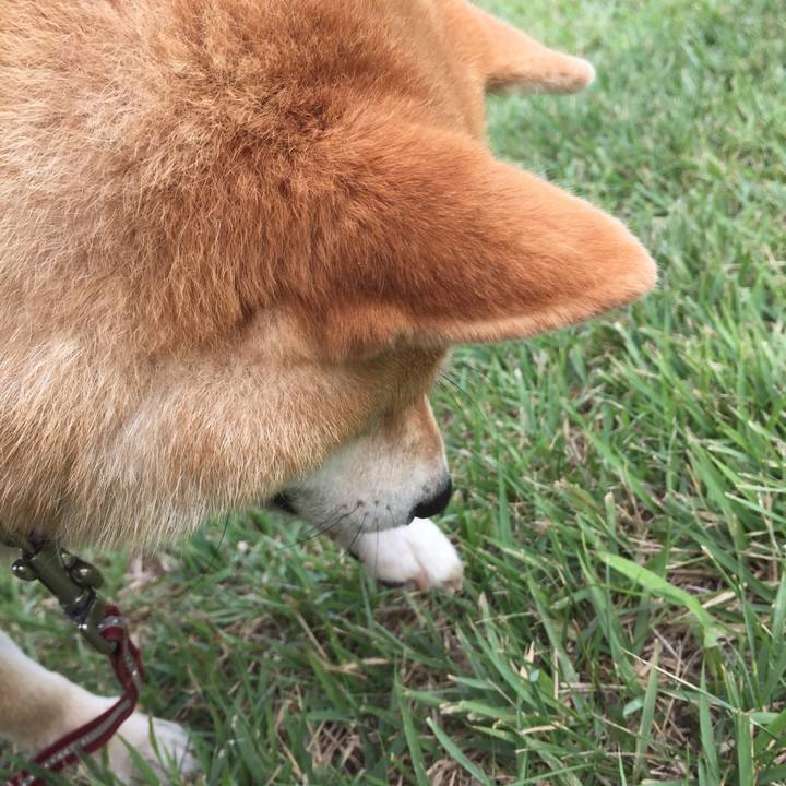 81d056ff f736 4c9d b364 b219560a7530