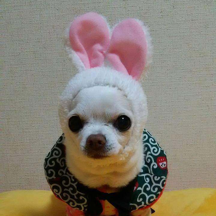 81d0a6cc 65d9 4529 b8f8 08cb21701b9f