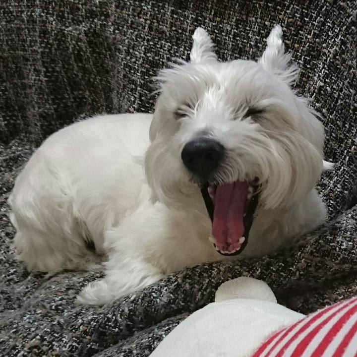 81d0b9bf c0a3 40b2 8e02 b40d4637f389