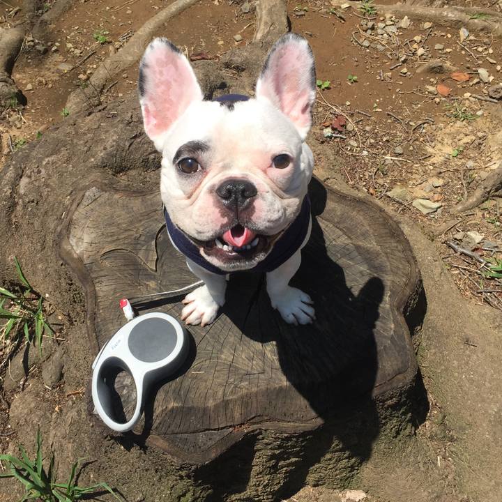 81d0f386 de3b 4222 8118 1a1344110098