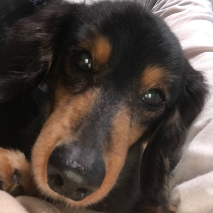 81d1b191 60f0 4039 ba8a db654bae221a